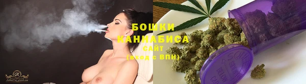 кокс Белокуриха